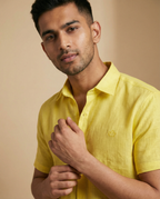 Sunbeam Yellow