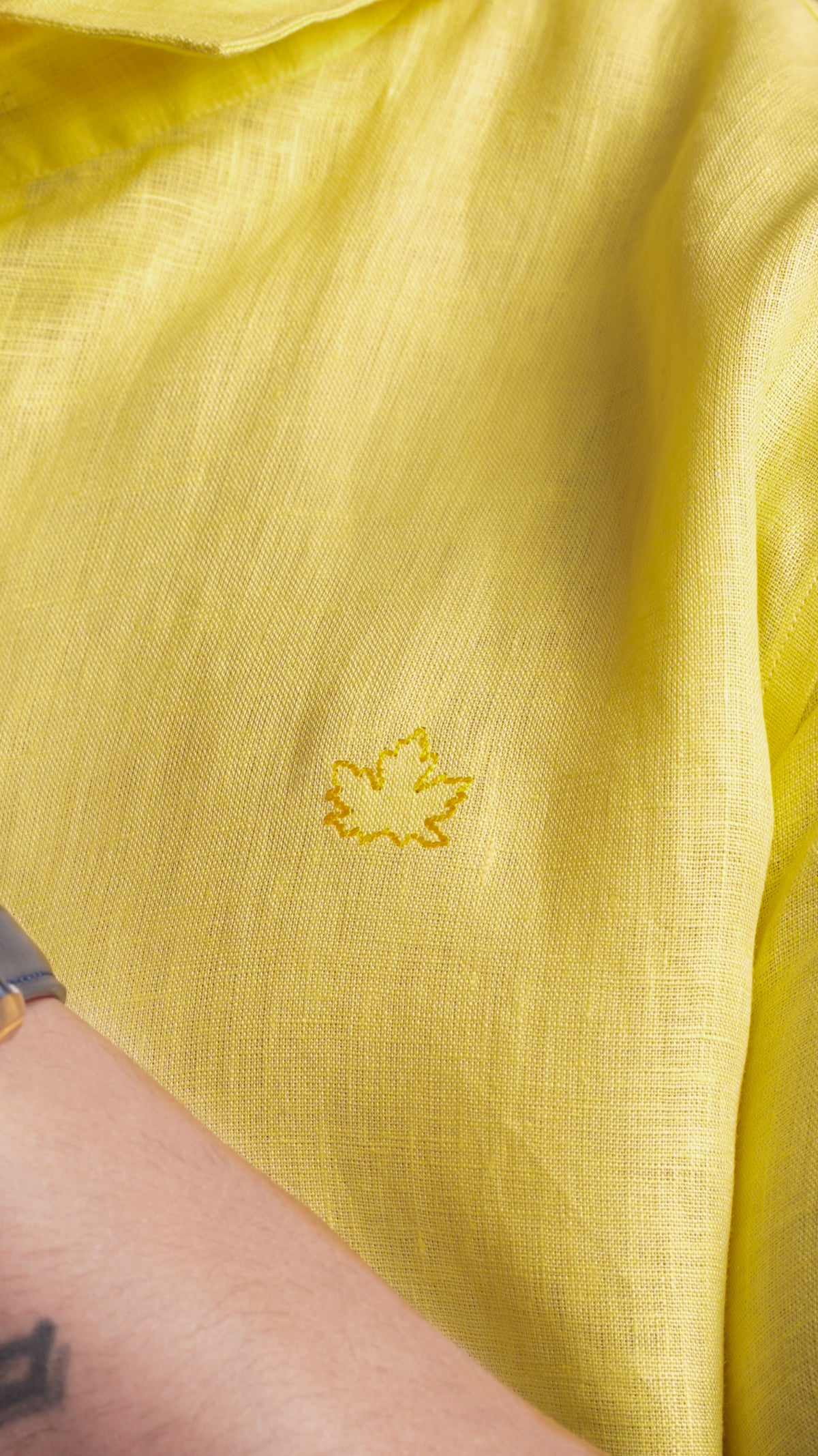 Sunbeam Yellow